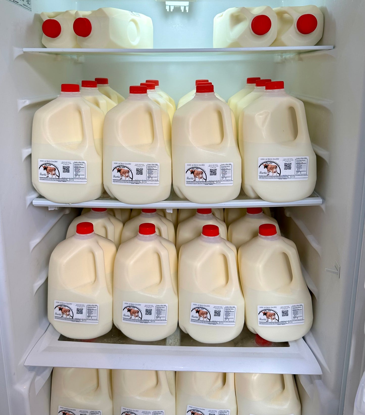 Raw Whole Milk